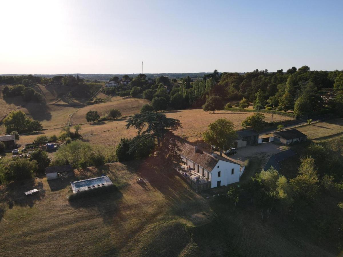 Korum * Bergerac